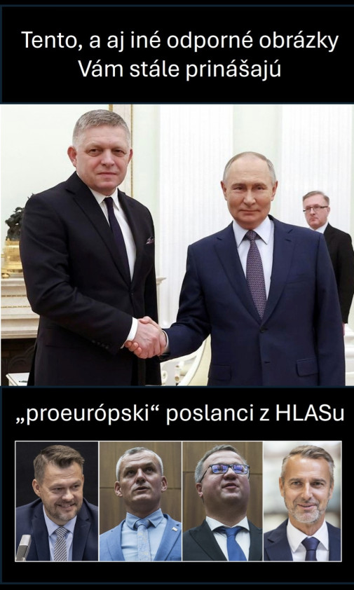 Podpora bez výhrad